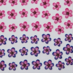 Nail Sticker - 25